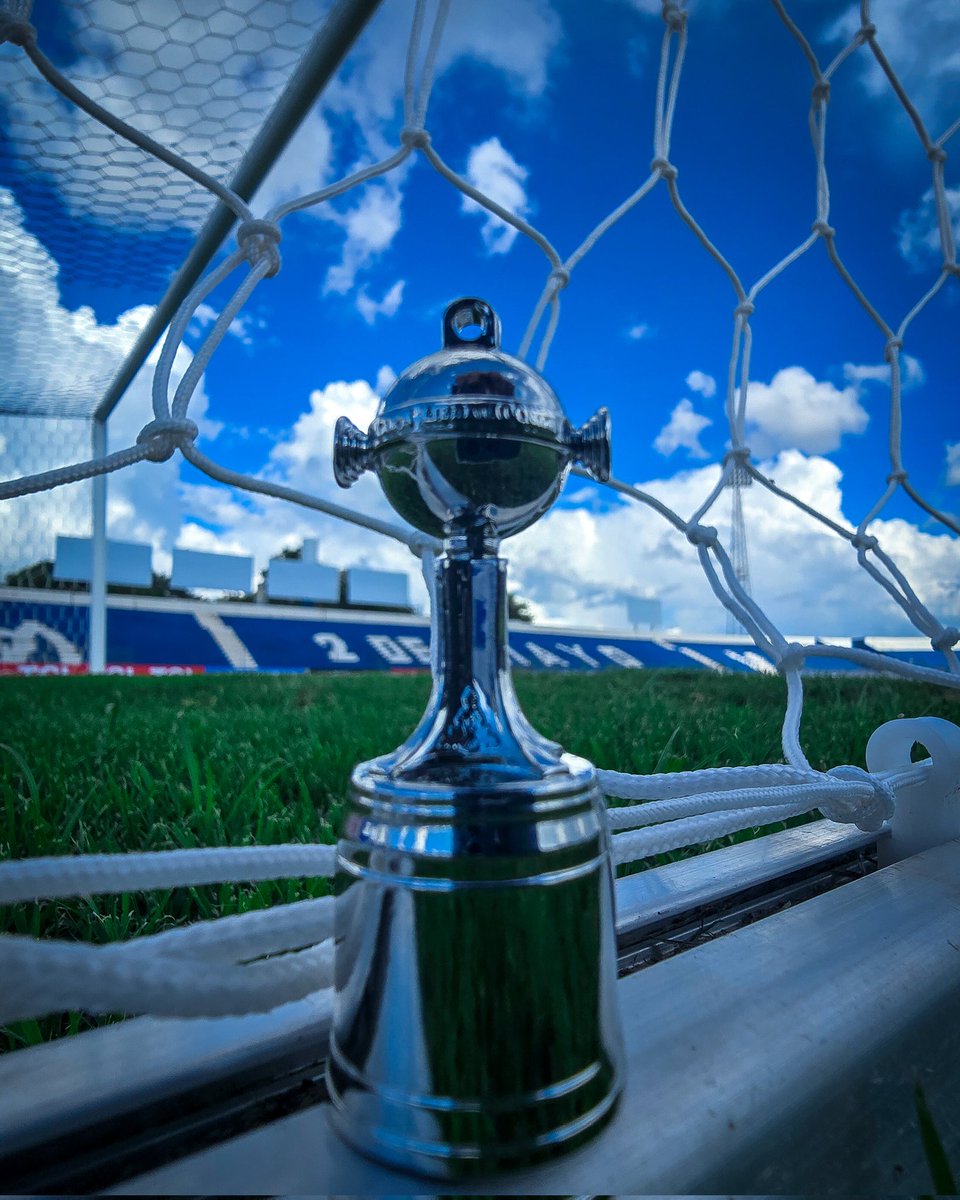 Club2deMayo's tweet photo. ¡Hola @Libertadores! 👋😍

#VamosGallo https://t.co/dHdmWKvuTw
