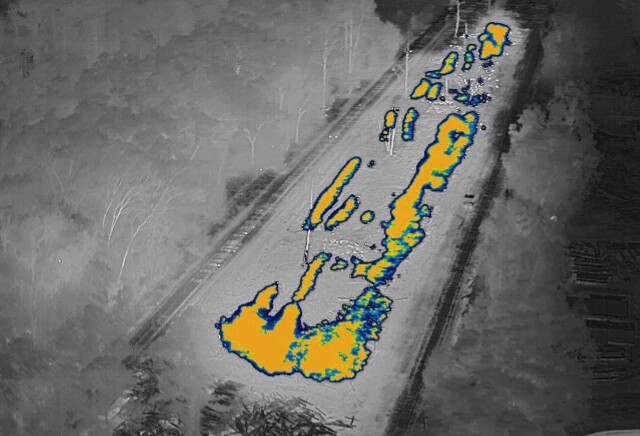 Florida State Guard tweet media