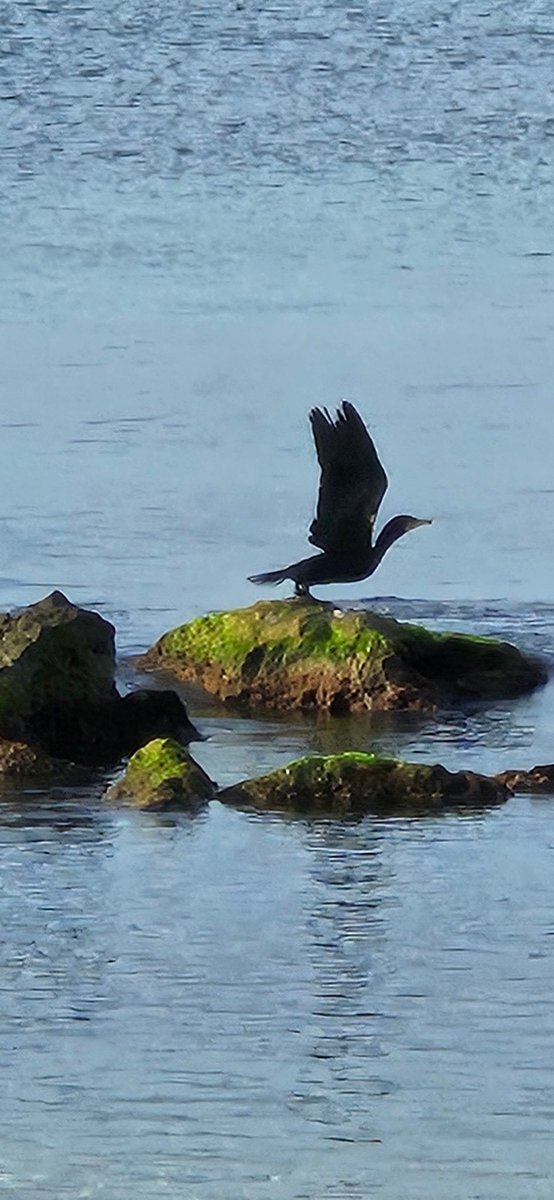 GianfrancoCat's tweet image. Non mi abbandonare al mio silenzio...
E portami via da qui
Per le strade che sai... #mediterranea #giunirusso #penso #portamiviadaqui