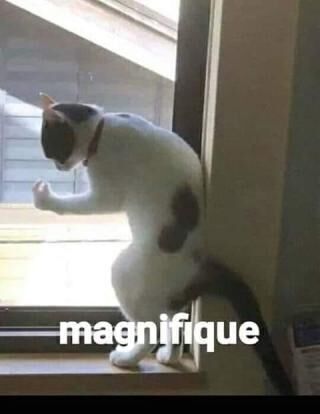 Rush Esport tweet media