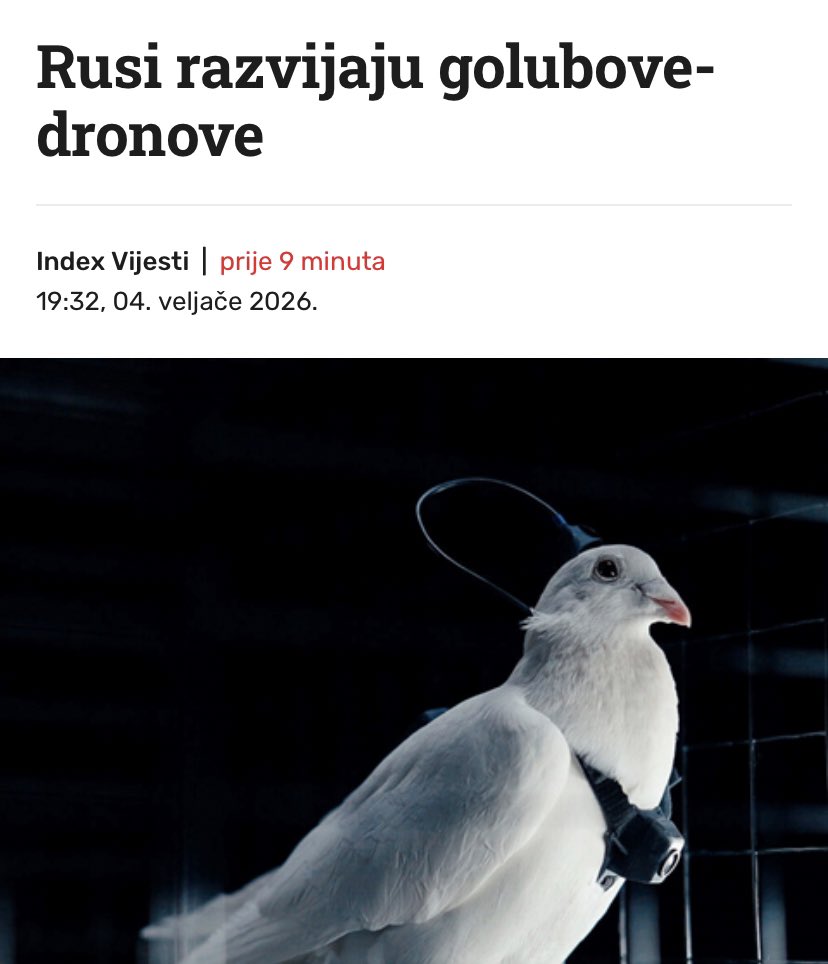 a rugali smo se onom fb pageu ptice nisu stvarne 🥹