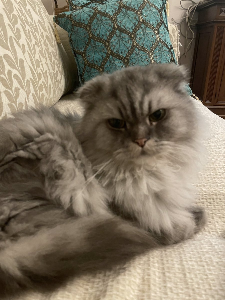 İyi geceler canlar
❤️
Lemina kantenin #gsvist #AlinaBoz deniz gül Necati Özkan serbest #Gündemdekiler renato nhaga Sabiha Gökçen Ahmet kutucu #SarıMelekler forvet 
#UzakŞehir #Gaza Golo Kante #Epstine Epstein Adası Transfer