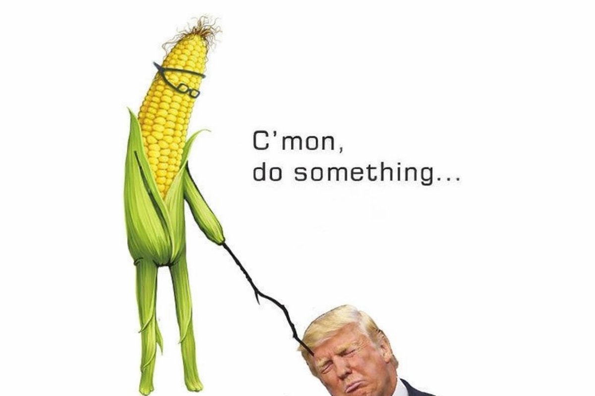 Craig 🇺🇸 tweet media