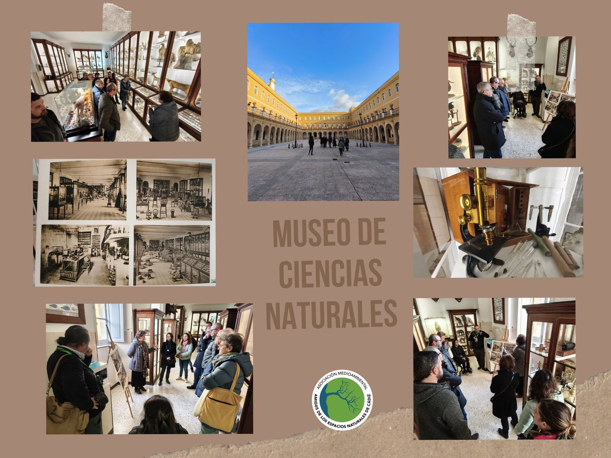 amaeennca's tweet photo. Fotos-I visita 20 enero/26 @amaeennca y acompañantes, museo Ciencias Naturales colegio SAFA San Luis, El Pto de Sta Mª (Cádiz) en conmemoración efeméride Día Mundial de la Educación Ambiental. Gracias Mª Isabel López Guerrero por su pasión y profesionalidad al habernos ilustrado. https://t.co/D0BlswabPm