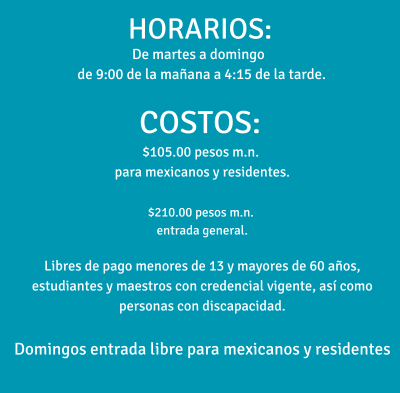 Museo del Caracol tweet media