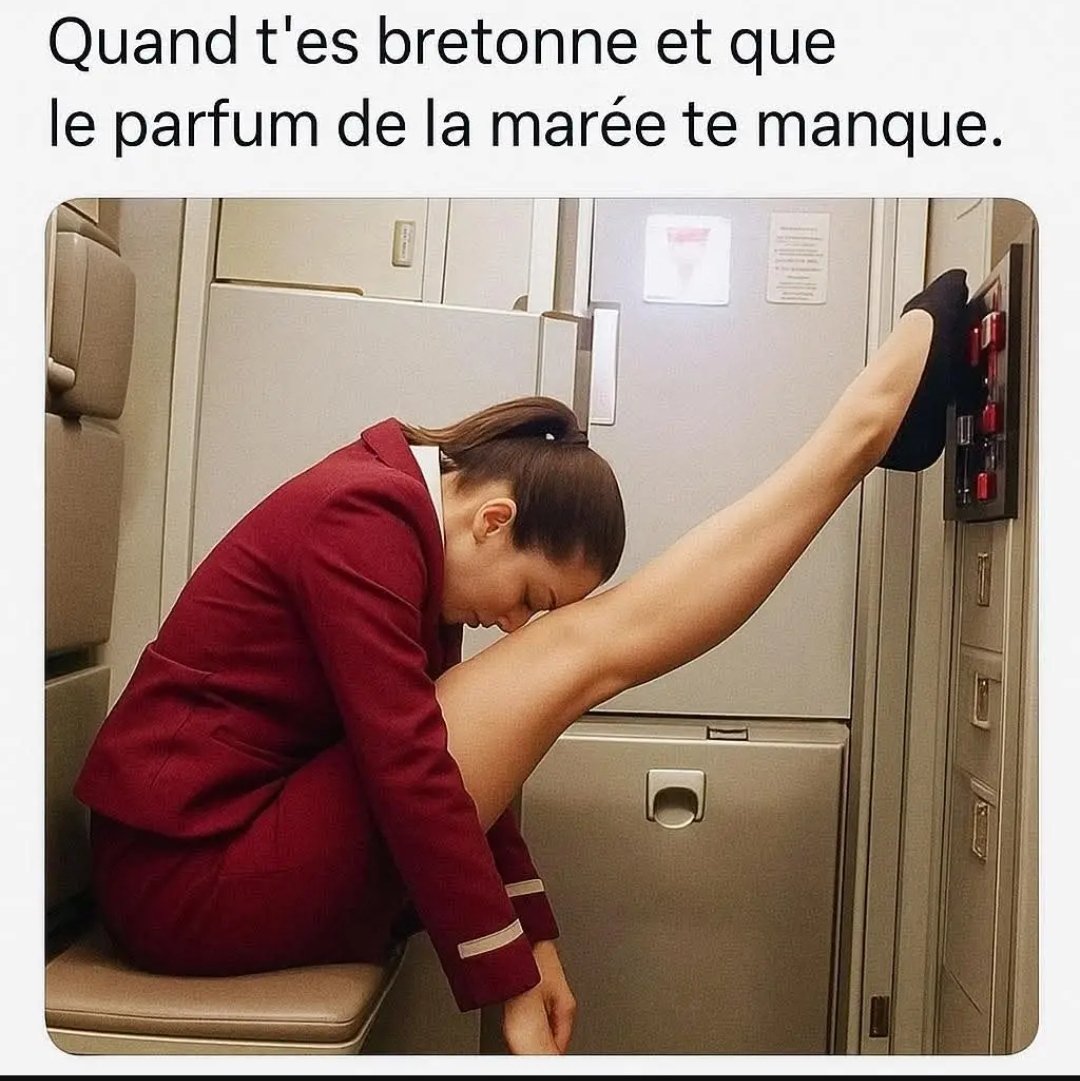 Moule qui fouette, attire les mouettes !!