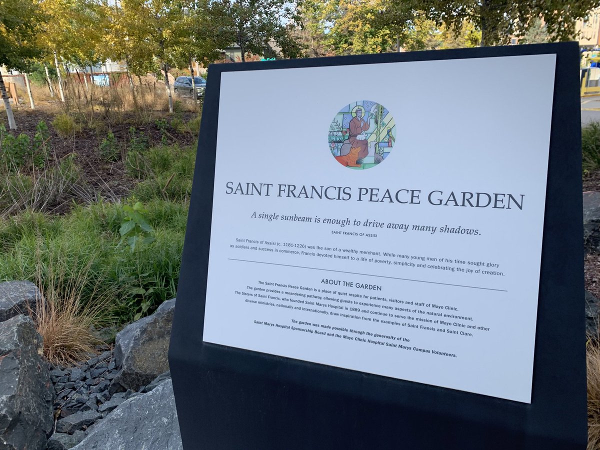 A reminder on World Cancer Day.
“A single sunbeam is enough to drive away many shadows.” ~ St. Frances of Assisi