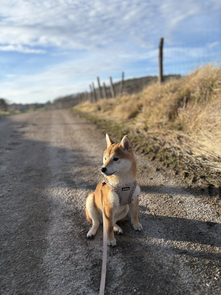 _enylem's tweet image. Petite balade cet après-midi 🥹