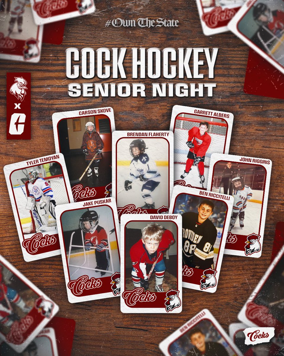 Gamecock Hockey tweet media