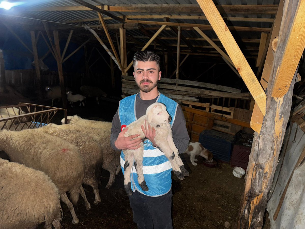 burakkilictc's tweet photo. Ülkü Ocakları Kemalpaşa İlçe Başkanlığımız,
Ülkü Ocakları Eğitim ve Kültür Vakfımızın Millî Eğitim Bakanlığı Hayat Boyu Öğrenme Genel Müdürlüğü ile imzaladığı sertifikalı eğitim programı kapsamında hayvancılık eğitimlerine başlamıştır.

Üretimi merkeze alan, yerli üretimi güçlendiren, millî kalkınmayı esas alan bu adım; Türk gençliğini toprağıyla, emeğiyle ve geleceğiyle buluşturan muhasır medeniyet hedefimizin somut bir tezahürüdür. 🐑 🇹🇷