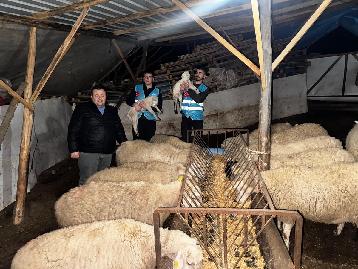burakkilictc's tweet photo. Ülkü Ocakları Kemalpaşa İlçe Başkanlığımız,
Ülkü Ocakları Eğitim ve Kültür Vakfımızın Millî Eğitim Bakanlığı Hayat Boyu Öğrenme Genel Müdürlüğü ile imzaladığı sertifikalı eğitim programı kapsamında hayvancılık eğitimlerine başlamıştır.

Üretimi merkeze alan, yerli üretimi güçlendiren, millî kalkınmayı esas alan bu adım; Türk gençliğini toprağıyla, emeğiyle ve geleceğiyle buluşturan muhasır medeniyet hedefimizin somut bir tezahürüdür. 🐑 🇹🇷