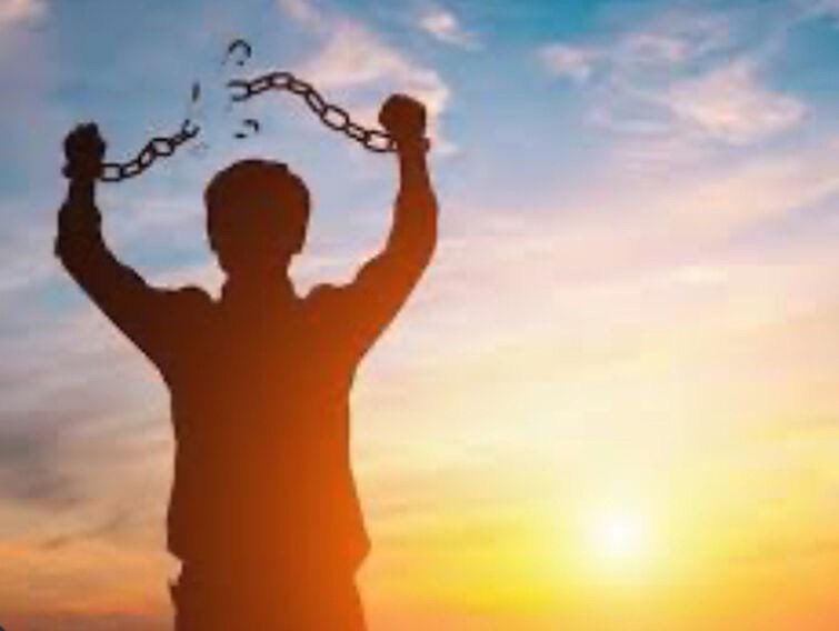 Dalton Trigg tweet media