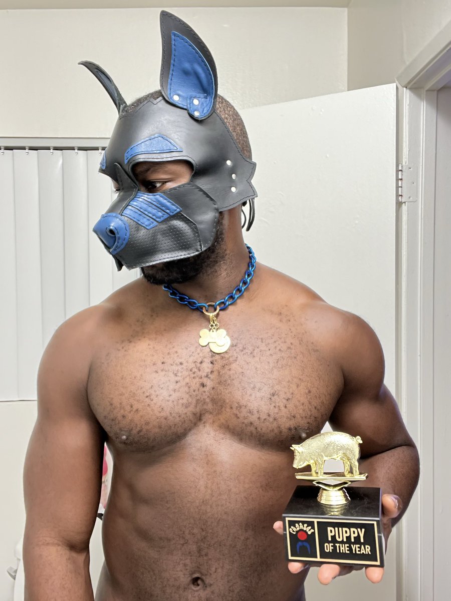 Got Pup of The Year award sometime ago. Thanks <a href="/PayasosLA/">Bartholo Iriarte</a> 
That’s all my updates for now. :)