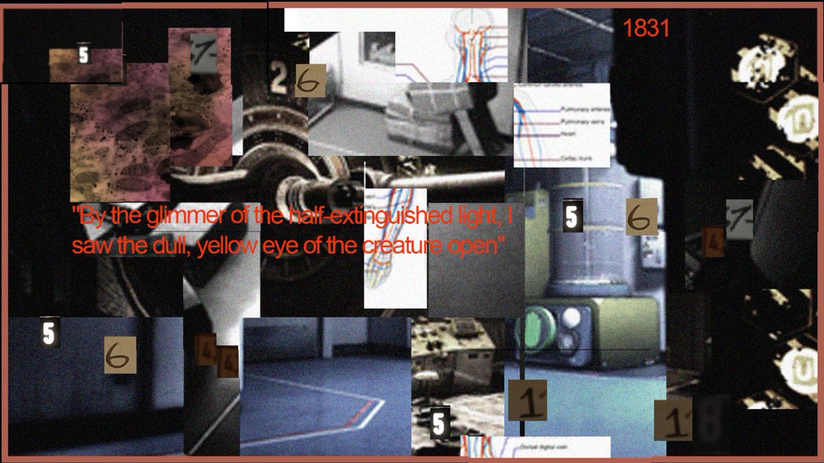 SeeingReason tweet media