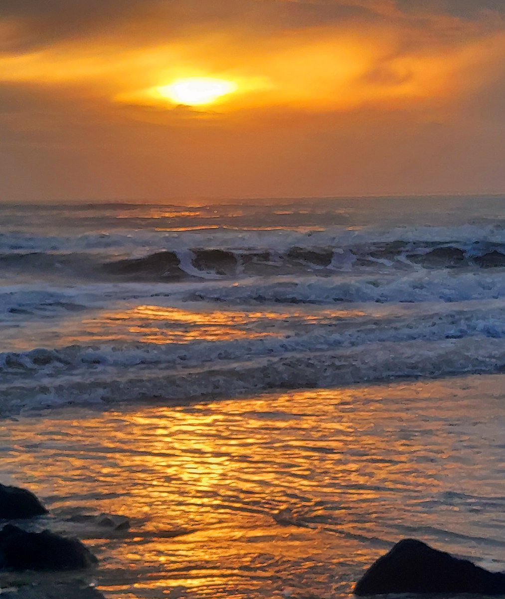 Maria Lea tweet media