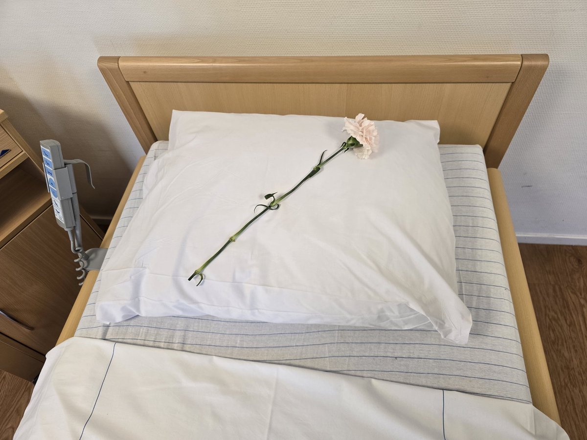 calamarities.bsky.social tweet media