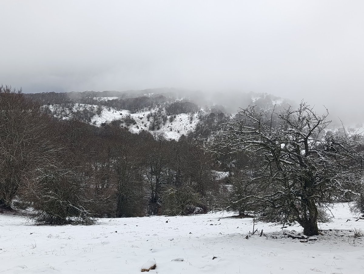 El invierno continúa en #LaOficinaDeHoy