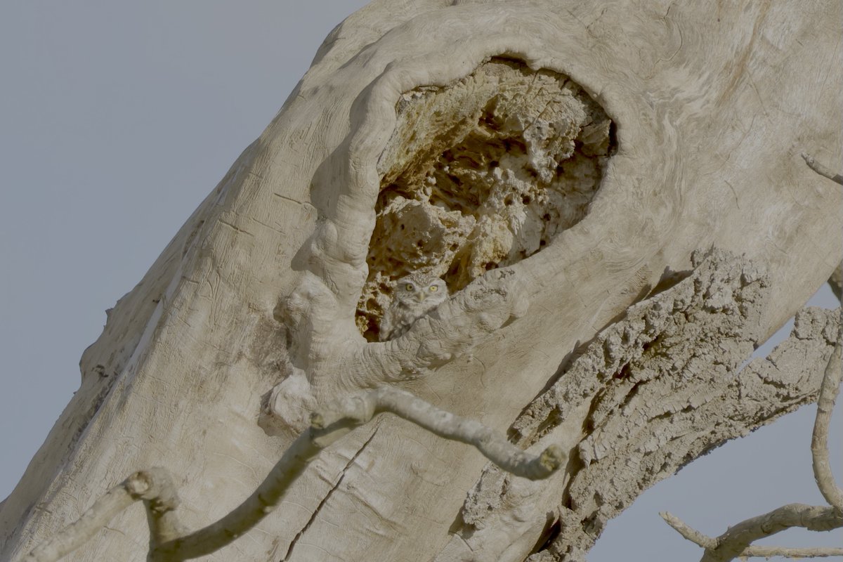 Gary H (@buzmor1) on Twitter photo 