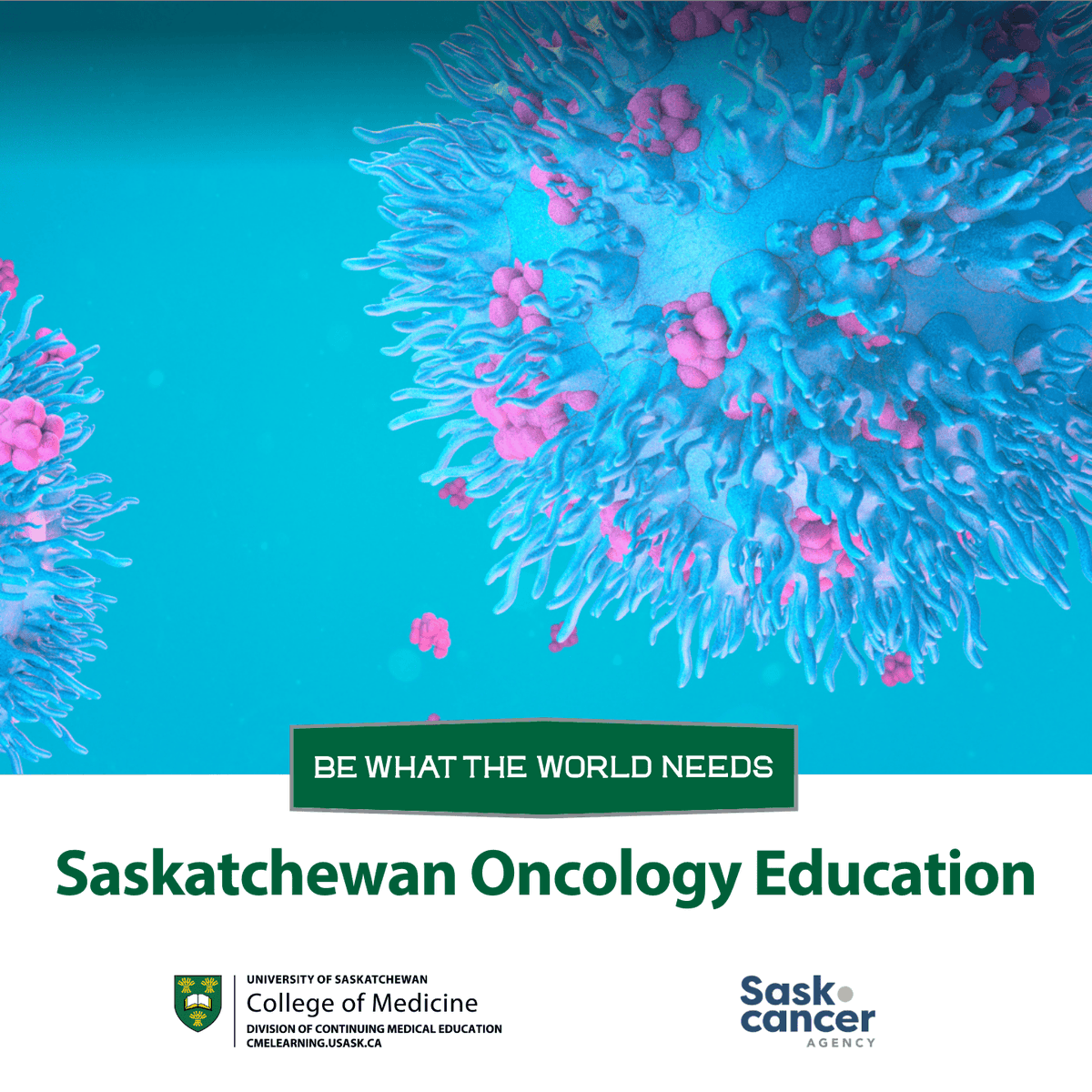 USask CME tweet media