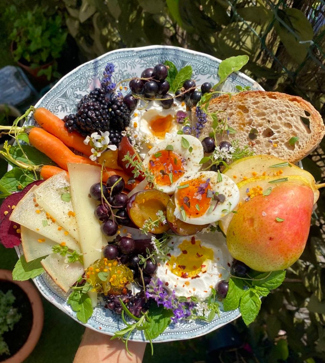 Summer lunch, sunshine life