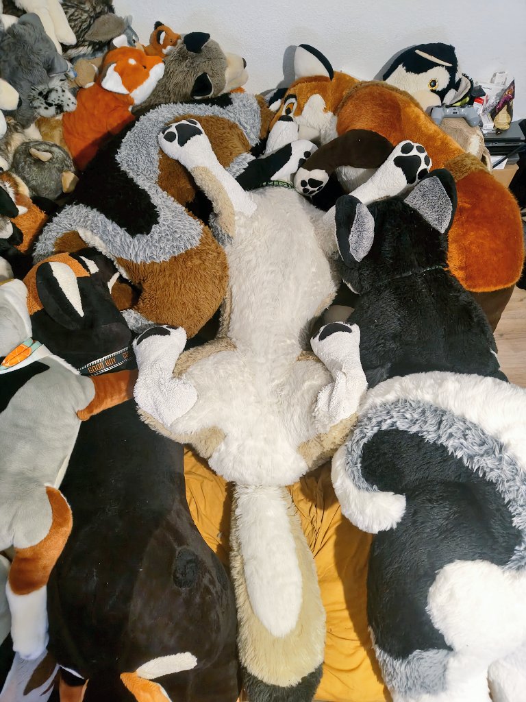 ꜱʜɪʀᴏ ᴛʜᴇ ꜱʜᴇᴘᴘɪᴇ tweet media