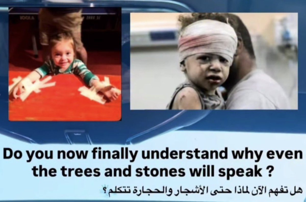 The trees and stones will speak about the people that did this.