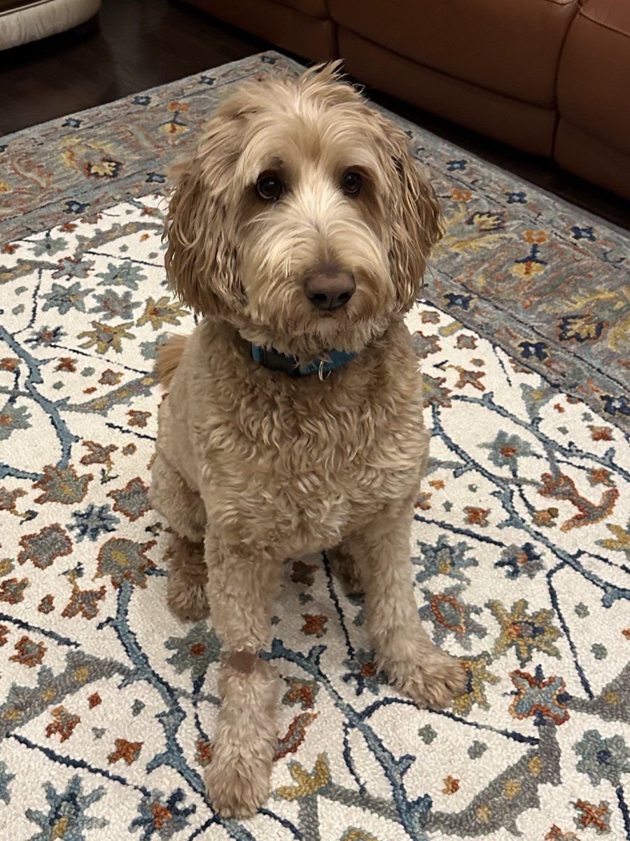 Sai Kurra tweet media