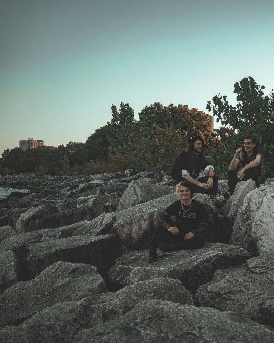 memory gardens tweet media