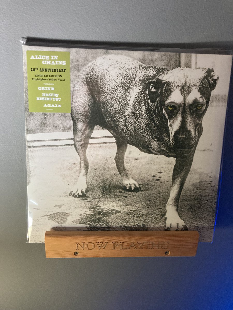 Magic Rat (Music) tweet media