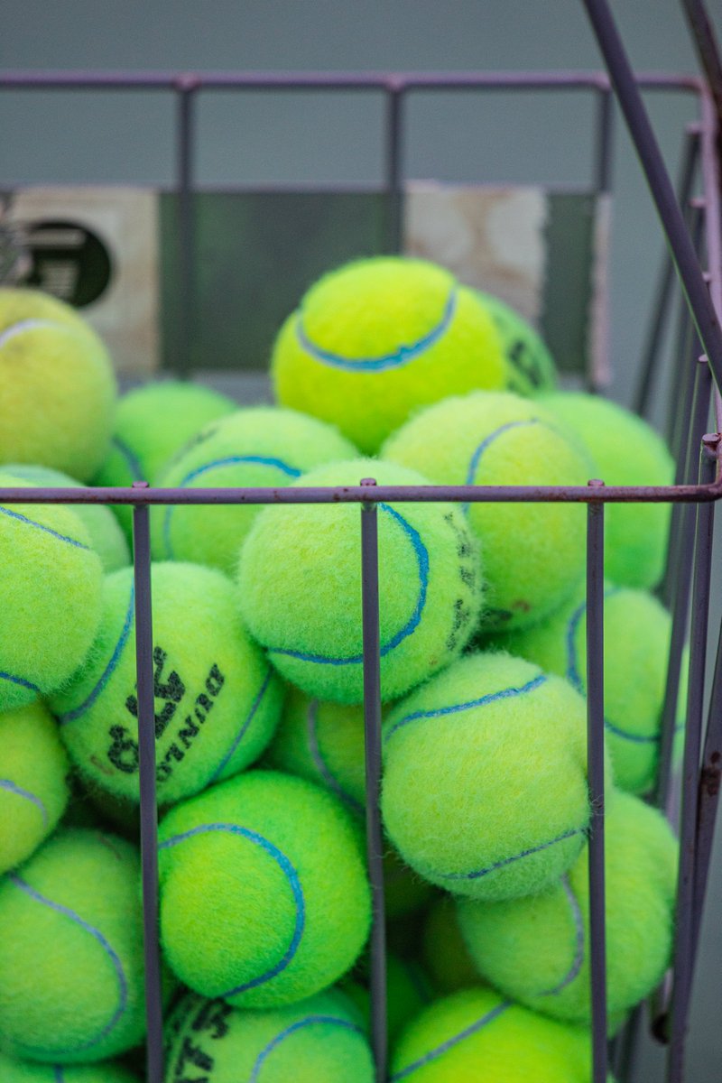 🚨 MATCH UPDATE 🚨

Women’s tennis vs. Northwestern State on Feb. 7 has been canceled due to inclement weather. 🎾🦅

#SMTTT 

smttt.info/4kiKMUr