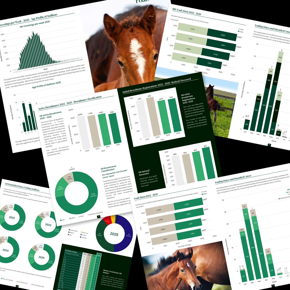 There’s an absolute wealth of information in the 2025 Weatherbys General Stud Book Fact Book for 🇮🇪 &amp; 🇬🇧.
Foal colours, stallion book sizes, origination of stallions, gestation ranges, age range of broodmares and so much more. 
Download and view for free 👉🏻