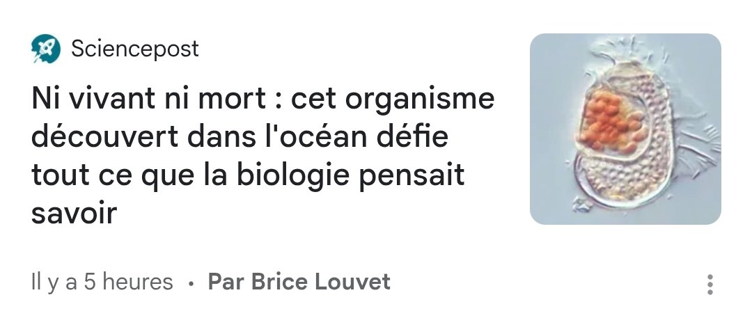 _JeanChris's tweet photo. Le chat de Schrödinger va enfin pouvoir manger du poisson.
#revuedepresque https://t.co/U6bZEisdzT