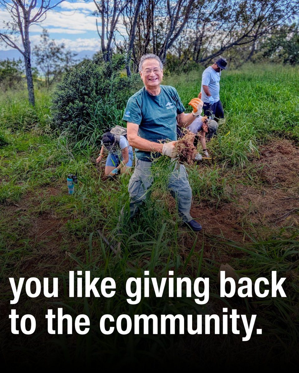 First Insurance HI tweet media