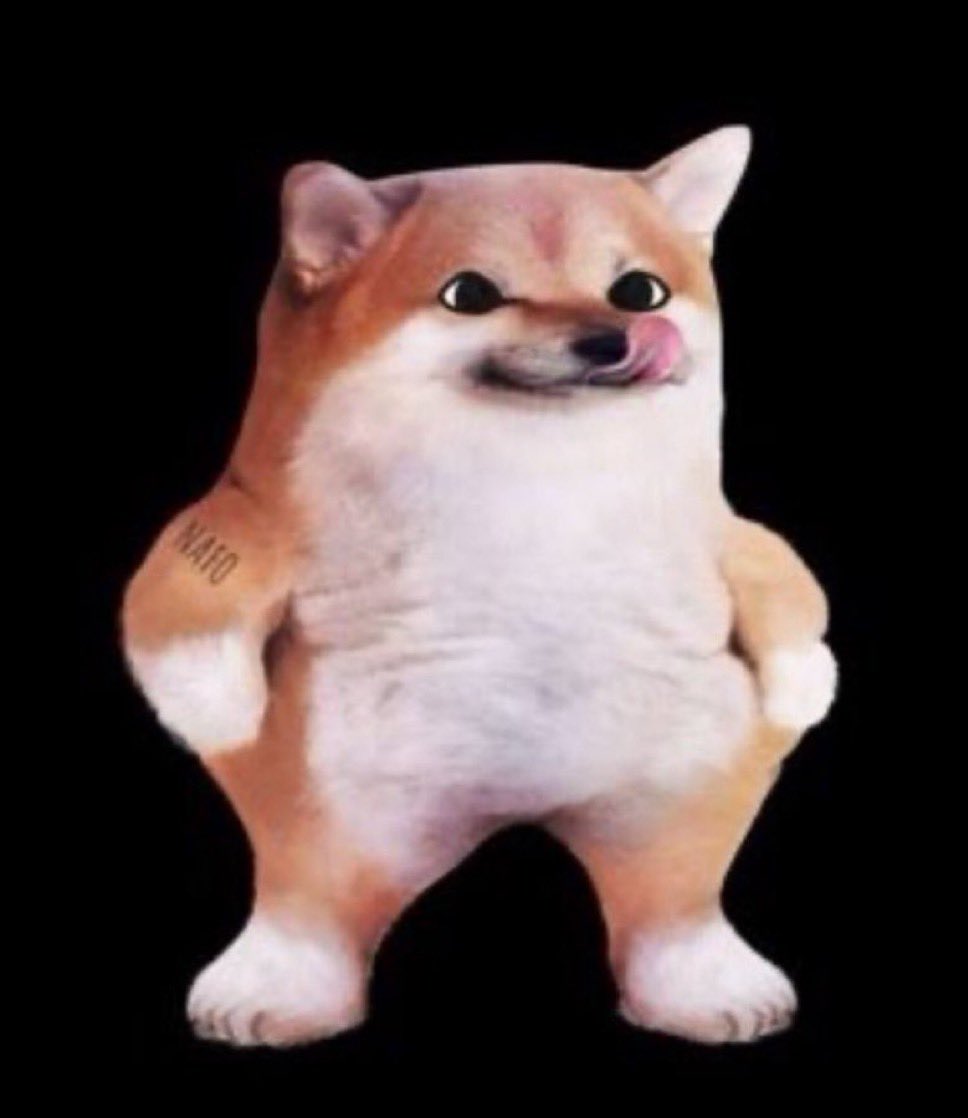 Dognerys 🔥and🩸 tweet media