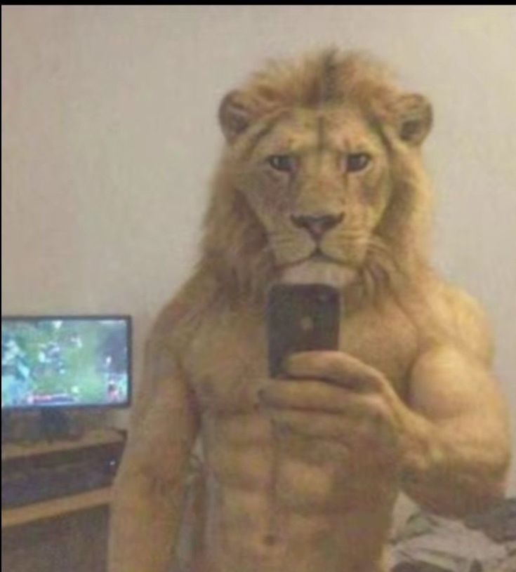 wst snoxy tweet media