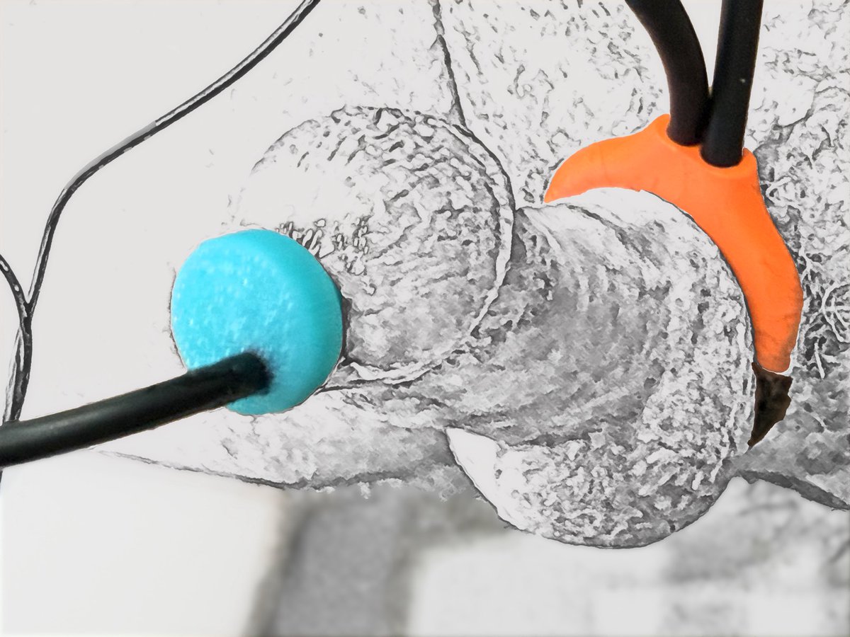 3D_ENX's tweet photo. NEW 3D PRINT MODEL: ESTIM &amp; NON-ESTIM SOUNDING PEG SET

https://t.co/YmRxlcZ26b

#estimtraining #electroplay #bdsm
#kinkcommunity #sounding #sexpositive #adulttoys #fetish #sextoysonline #CBT #bdsm #EstimSystems #Estim #Electrosex https://t.co/8xncJsZAXX