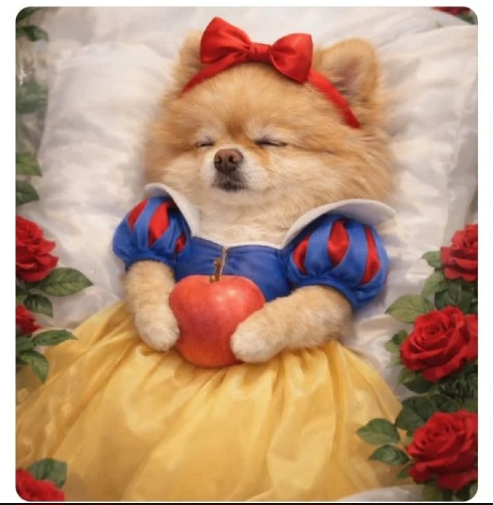 Beyaz atlı prensimin gelip 
Uyandıracağına inanan ben...🎀