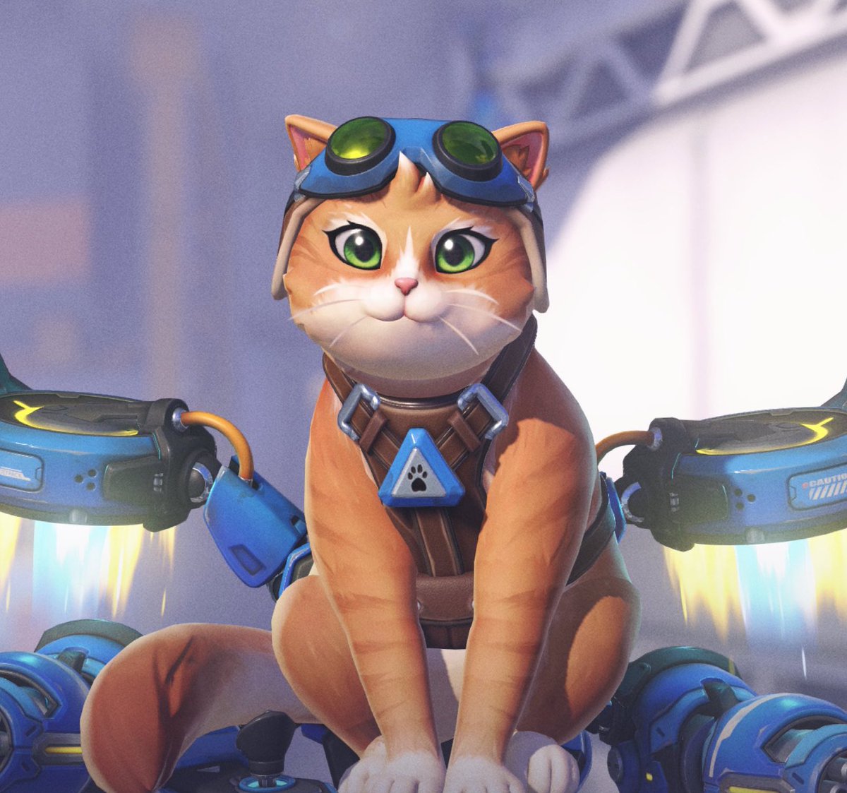 Jetpack Cat Updates 🐾 🐈 tweet media