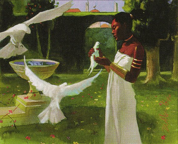 mtgbanding's tweet photo. https://t.co/XHCdXznPU6