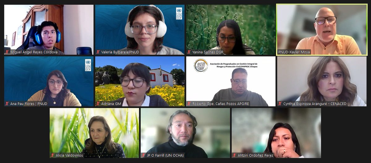 PNUD México tweet media