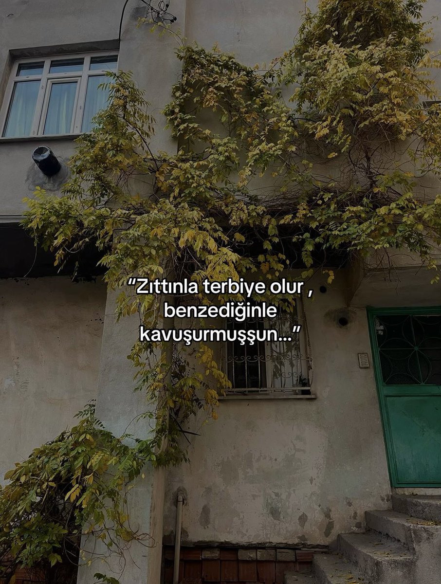 ardiskusu's tweet photo. https://t.co/bq9YJT0rjC
