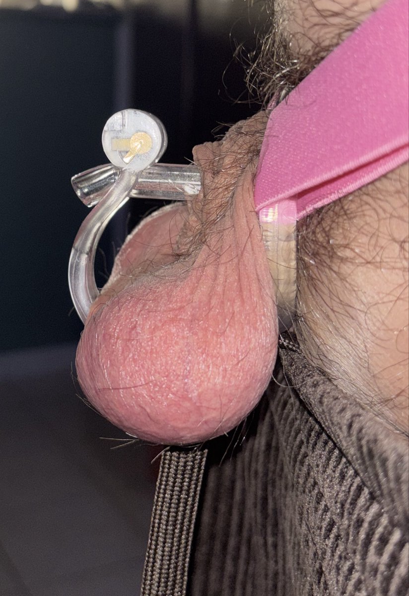 Cage inversée Jour1