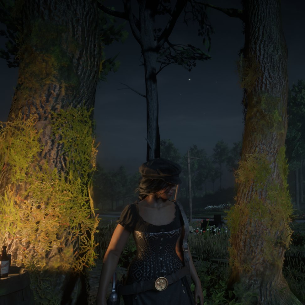 my hyperfixation as of late #rdr2online i play alone because i have no friends 😀