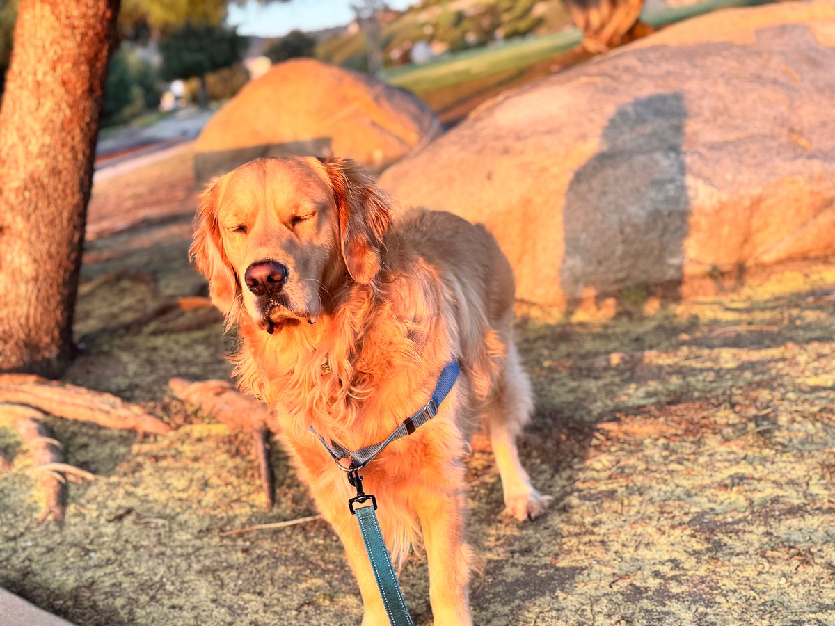 .....Todd..... tweet media