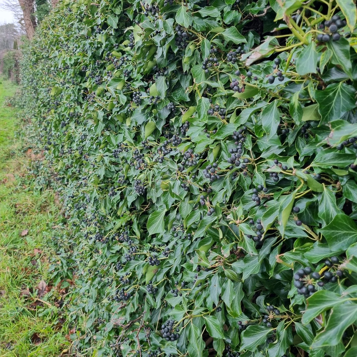 MerielGJones tweet media