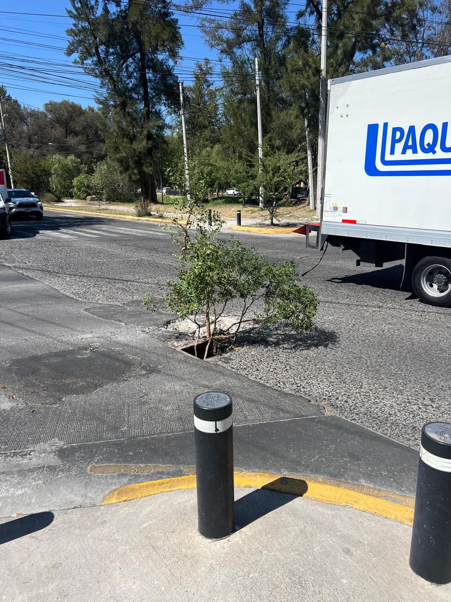 ColomosProvi tweet media