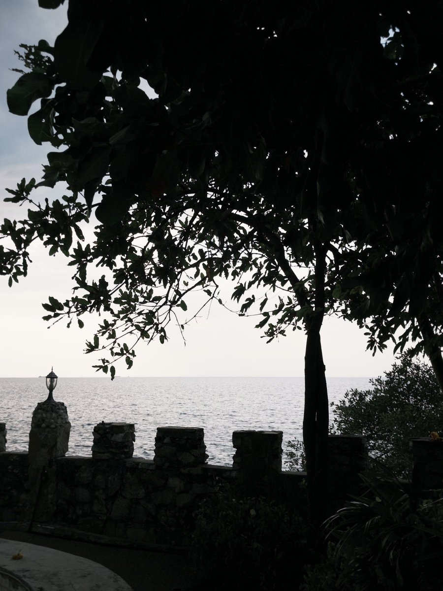 𝐅𝐄𝐋𝐈𝐗 (@f_elix4) on Twitter photo 