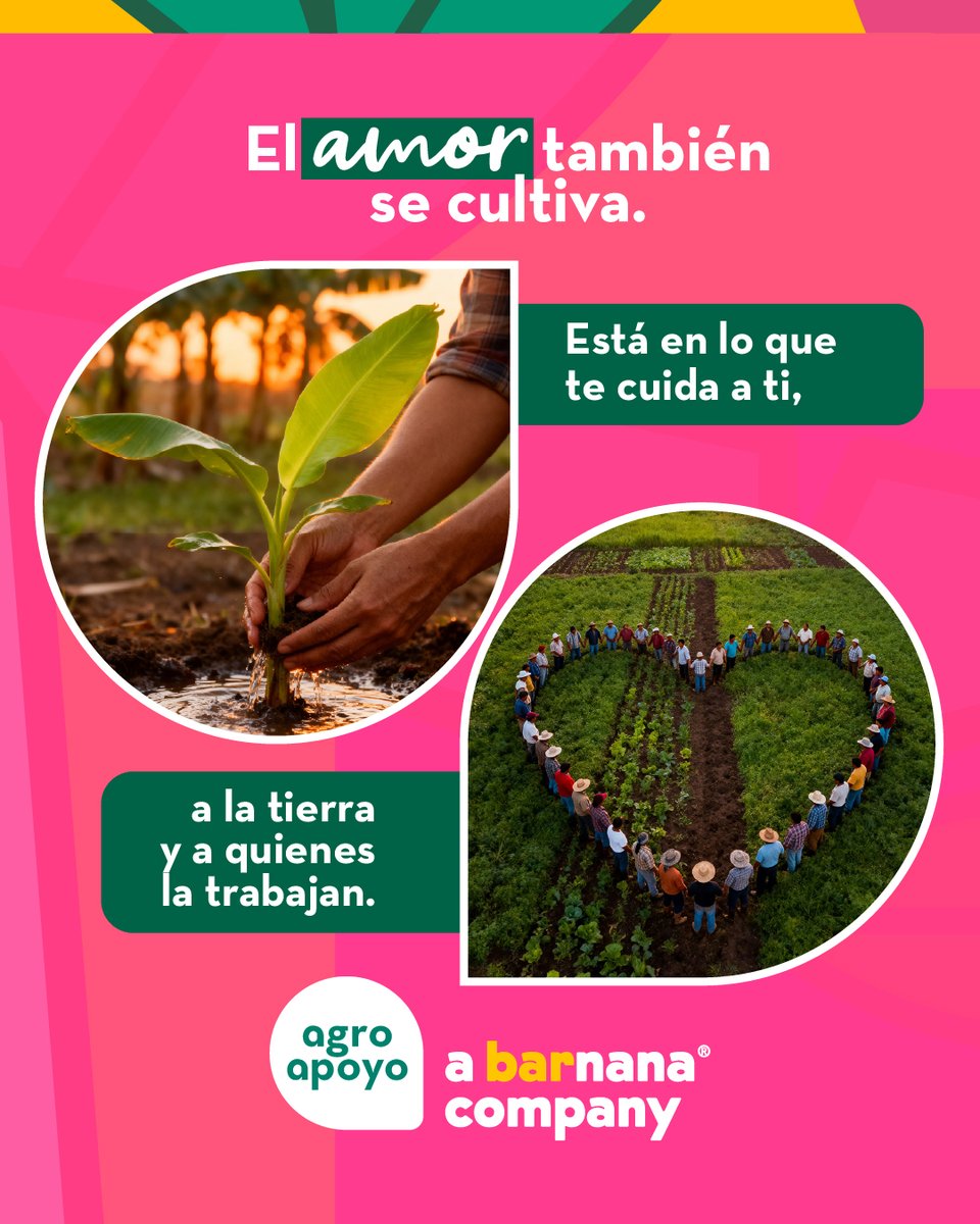 Este San Valentín, celebremos el amor que va más allá de lo romántico.
🌱 Amor por lo que consumimos
💚 Amor por quienes cultivan con propósito
🌍 Amor por un planeta más sano

En Agroapoyo creemos que el amor también está en cada decisión que alimenta el cuerpo, la comunidad y