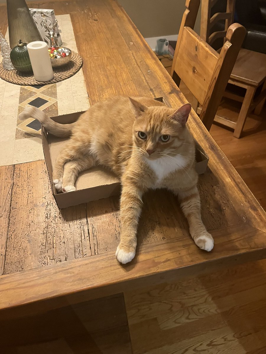 ItsMaybeMason's tweet image. THEYRE ADDING GOOSE TO OVERWATCH