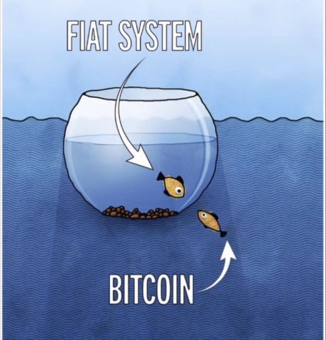 Bitcoin Breakdown ⚡ tweet media